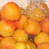 apricots3
